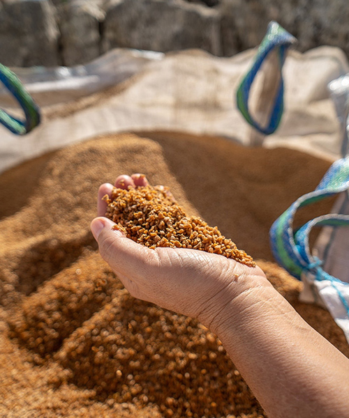 Hand picking up dirt